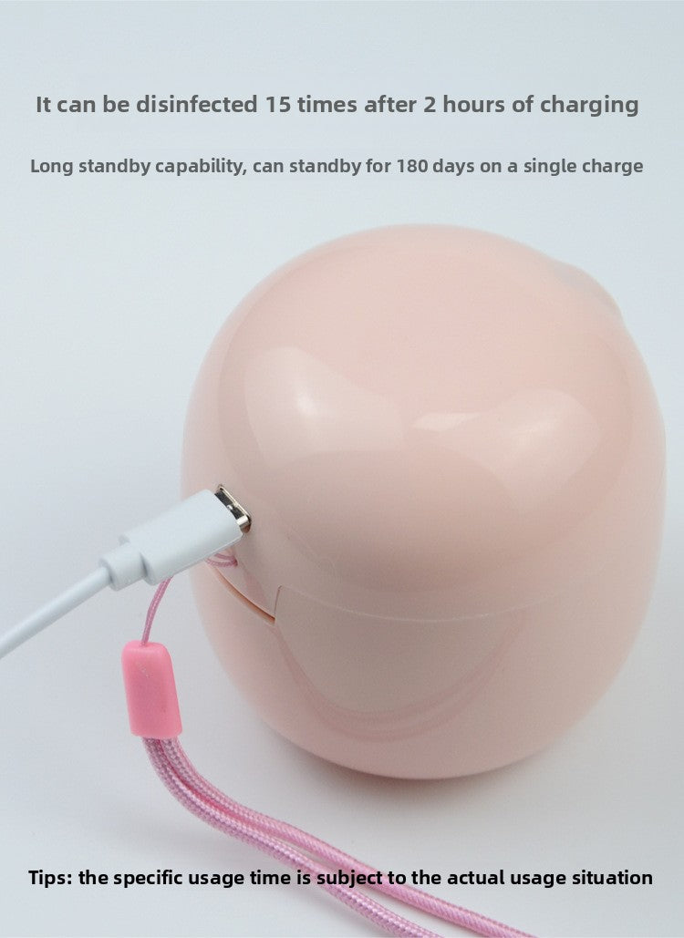 A portable pacifier ultraviolet disinfection box